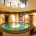 Alpenhotel Tirolerhof in Neustift im Stubaital features a circular indoor hot tub beneath a balcony