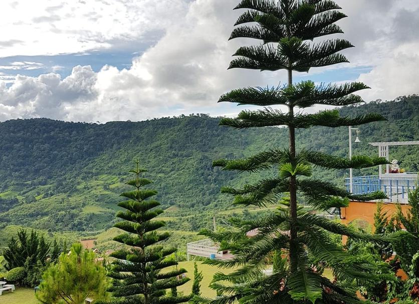Outdoors view Photo