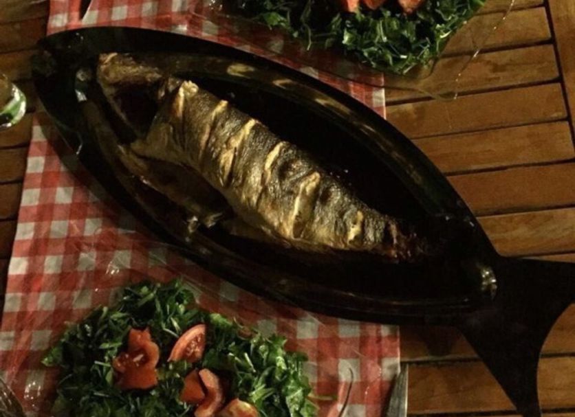 Food Photo