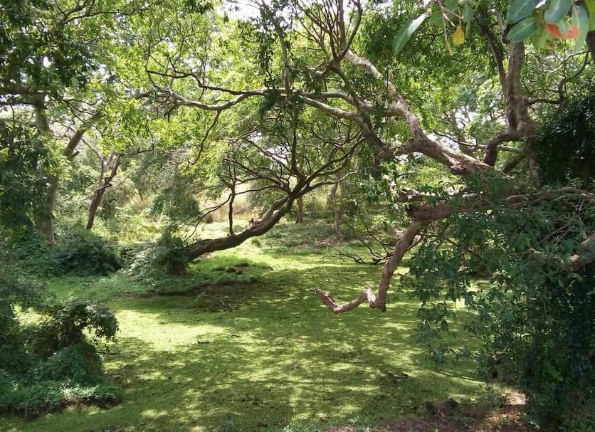 Outdoors view Photo