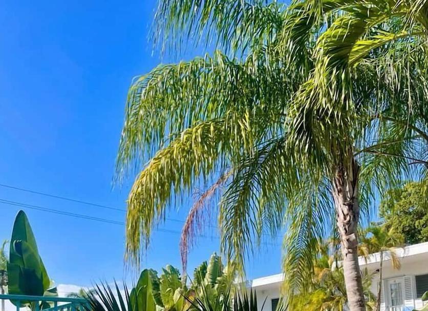 Outdoors view Photo