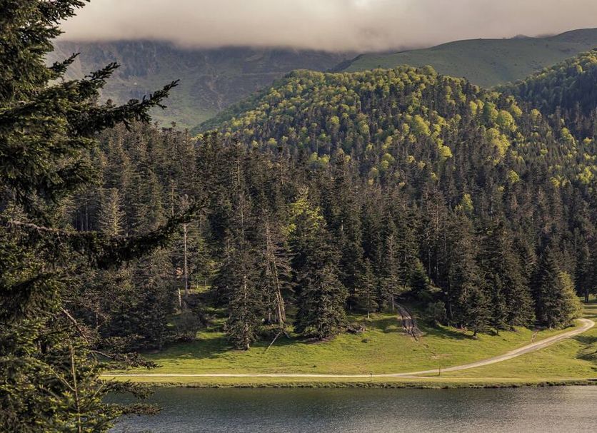 Outdoors view Photo