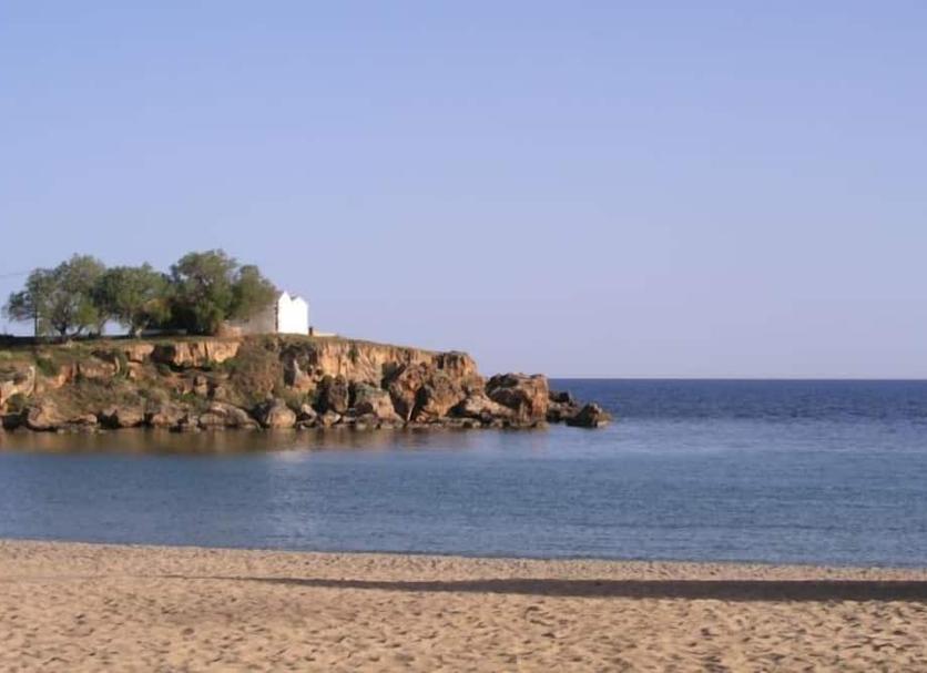 Other Photo