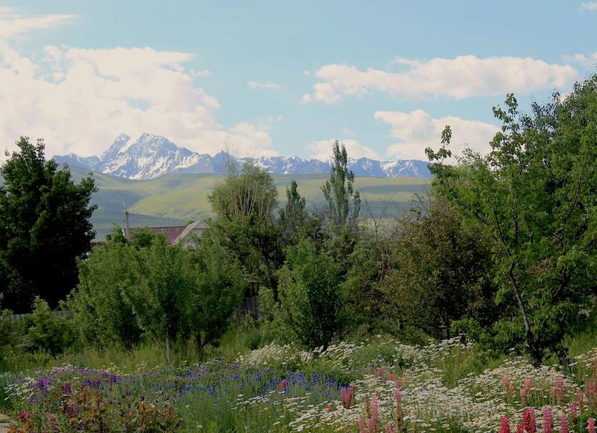 Outdoors view Photo