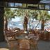 Sami Plaza in Bodrum with seaside terrace seating and ocean views through palm trees