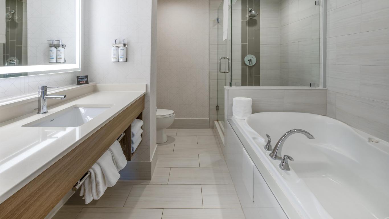 Holiday Inn Express & Suites Tampa-I-75 @ Bruce B. Downs