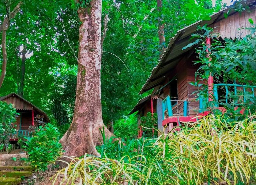 Outdoors view Photo