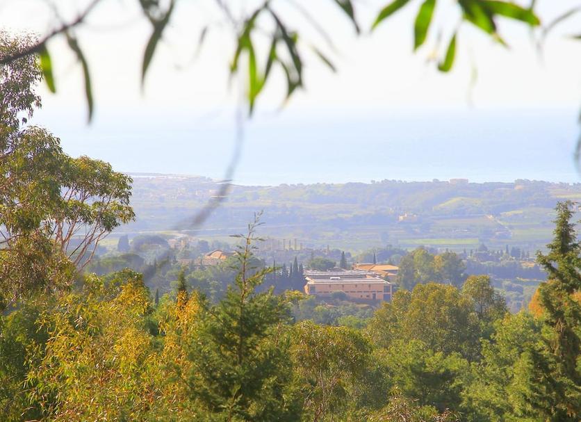 Outdoors view Photo