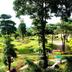 Outdoors view