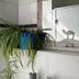 Homeplanet Hostel Leipzig bathroom with potted plants and camel wall art