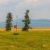 Timbers at Island Park in Island Park: grassy lawn with volleyball net and lake view