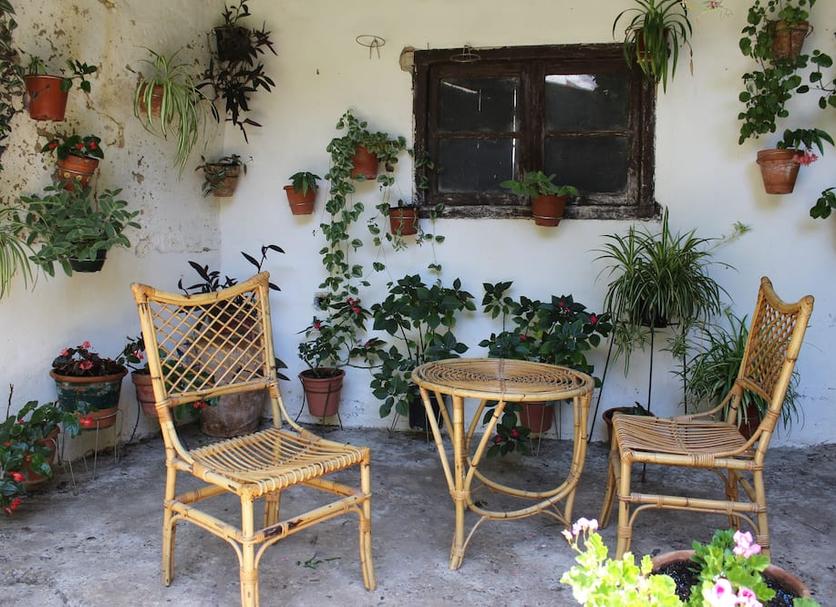 Patio Photo