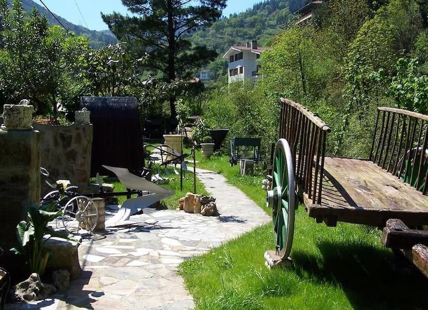 Other Photo
