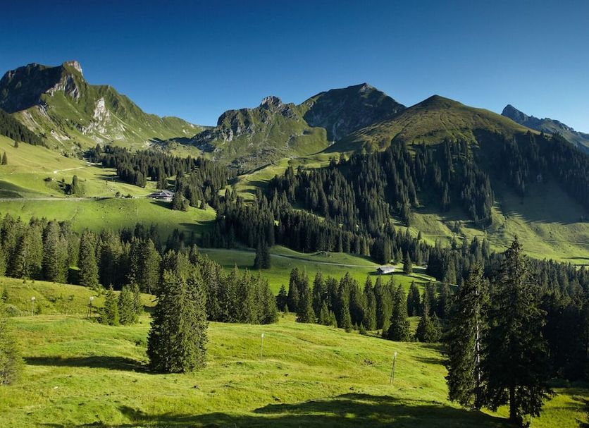 Hotel Sonne - Self Check-in in Schwarzenburg with alpine mountains, green meadows and pine forest