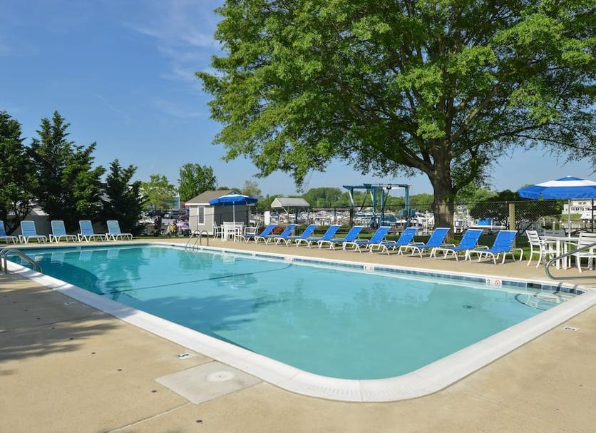 Pool Photo