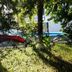 Mansion Giahn Bed & Breakfast in Cancún, garden view with pool glimpsed through tropical trees