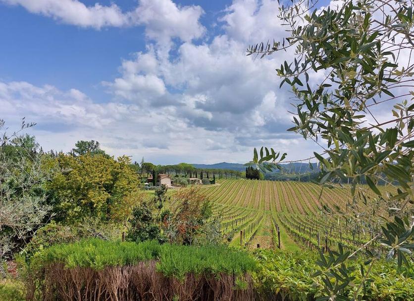 Outdoors view Photo