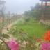 Outdoors view