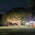 Night view at Hotel Villa Cantabria in Mascota with a lit tree, lawn, and moonlit sky