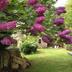 Outdoors view