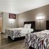 Red Roof Inn Hartford - New Britain guest room with two beds and modern lamps