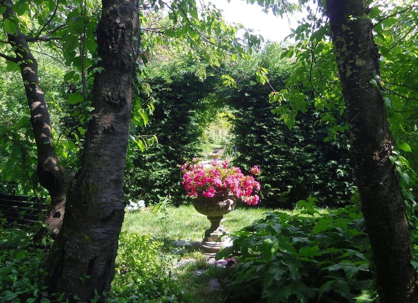Outdoors view Photo