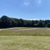 Dancamps Kolding in Kolding with grassy field, trees, and clear blue sky