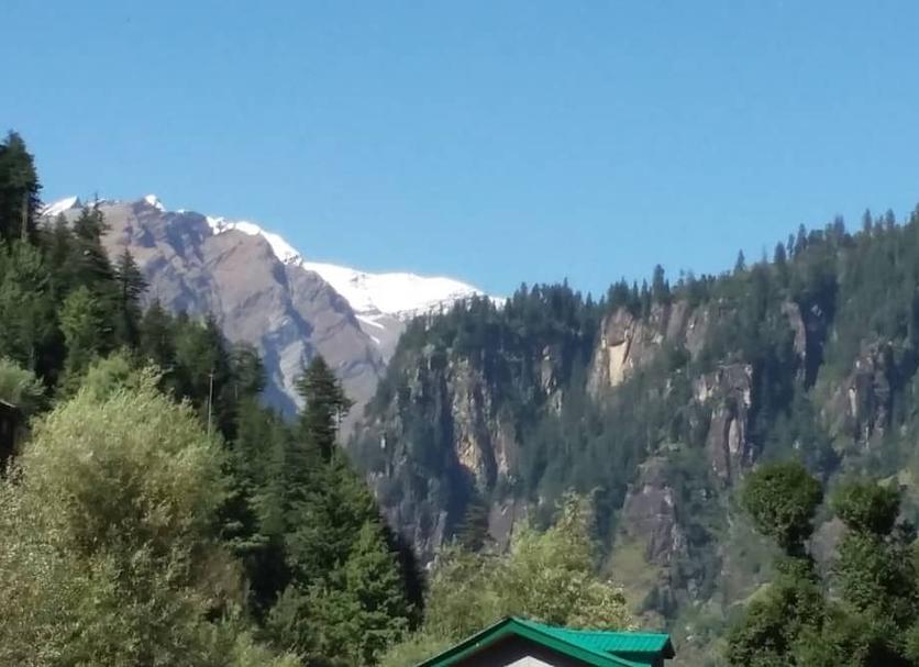 Other Photo