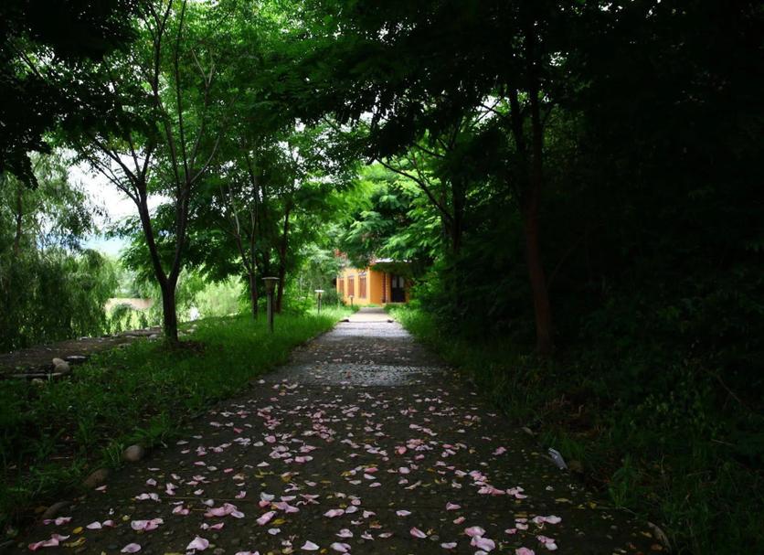 Outdoors view Photo