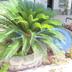 Outdoors view