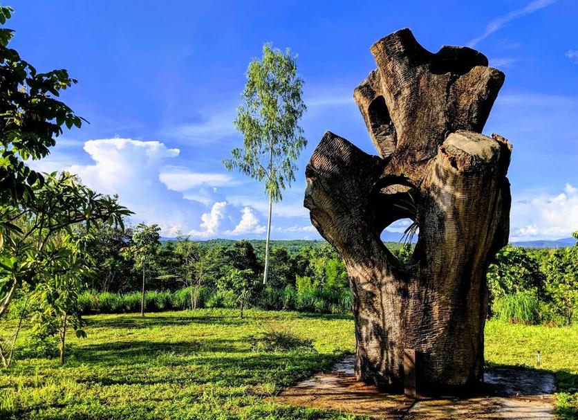 Outdoors view Photo
