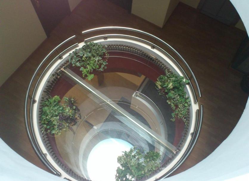 Other Photo