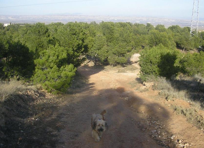 Outdoors view Photo
