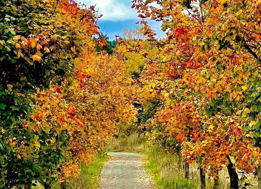 Outdoors view Photo