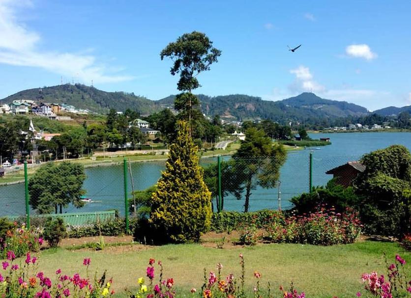 Outdoors view Photo