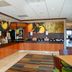 Fairfield Inn & Suites by Marriott Colorado Springs North/Air Force Academy breakfast area with buffet and seating