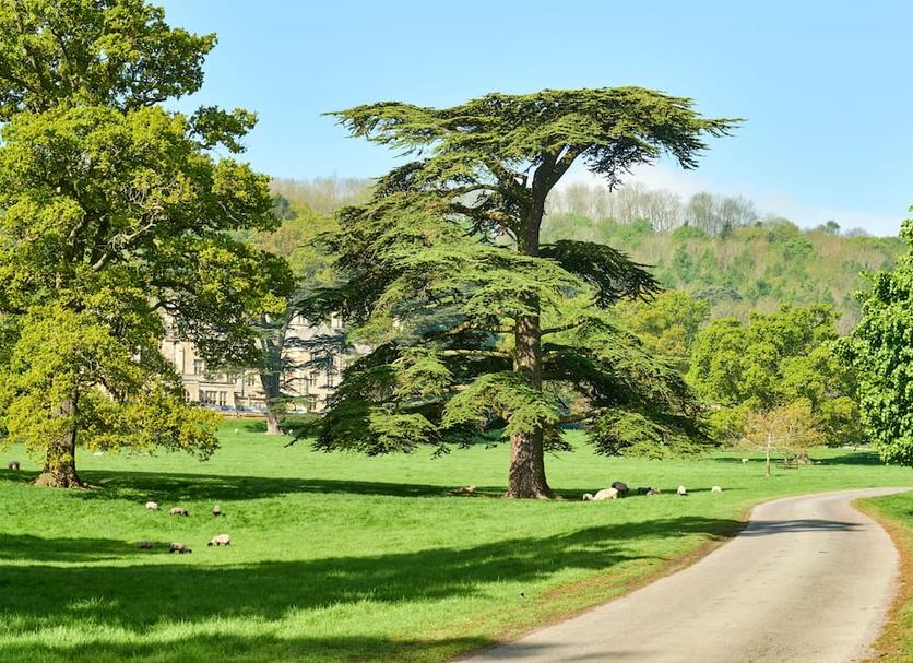 Outdoors view Photo