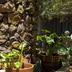 Outdoors view