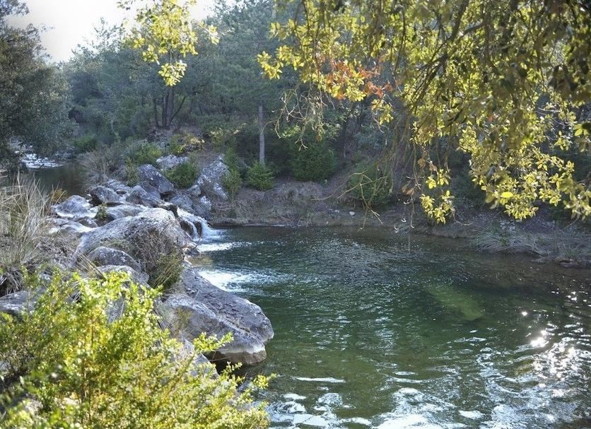 Other Photo