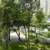 Outdoors view