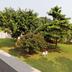 Outdoors view