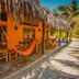 La Casa de Sebas in Máncora with thatched-roof bungalows, hammocks, and palm-lined walkway