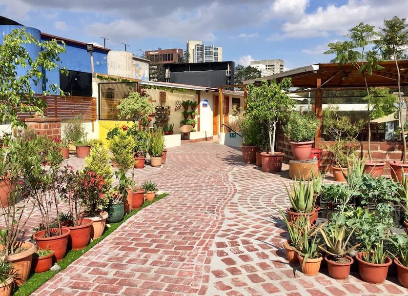 Outdoors view Photo