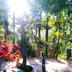 Outdoors view