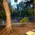 Outdoors view
