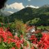 Outdoors view