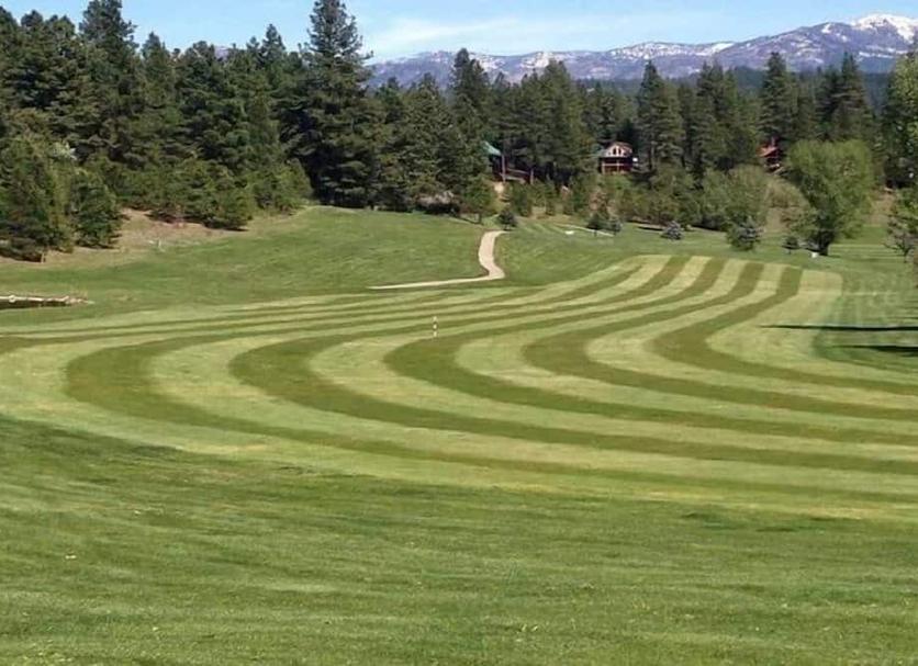 Golf course Photo