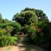 Outdoors view