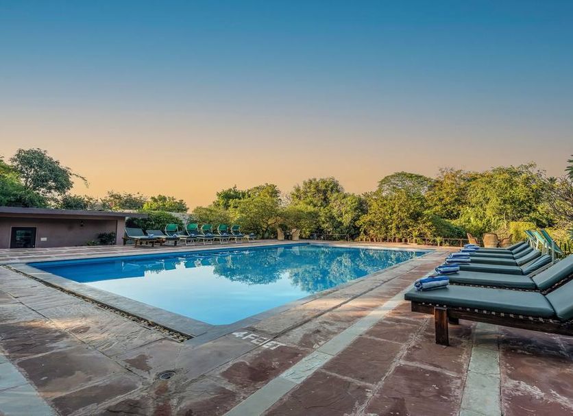 The Pugmark, A Wildlife Resort in Sawai Madhopur: outdoor pool with lounge chairs at sunset