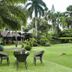 The Ritz Hotel at Garden Oases in Davao City, lush tropical garden with patio seating and palm trees